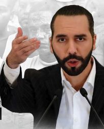 Informe Nayib Bukele vs pandillas